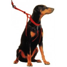 Magic Harness Medium