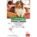 Advantage for Dogs Medium Breed 10-25 kg